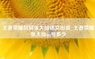 王者荣耀阿轲张大仙铭文出装_王者荣耀张大仙qq号多少