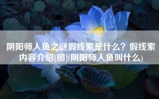 阴阳师人鱼之谜假线索是什么？假线索内容介绍[图](阴阳师人鱼叫什么)
