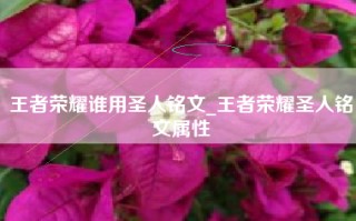王者荣耀谁用圣人铭文_王者荣耀圣人铭文属性
