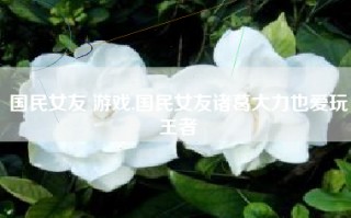 国民女友 游戏,国民女友诸葛大力也爱玩王者