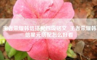 王者荣耀韩信搭配四级铭文_王者荣耀韩信星元搭配怎么好看