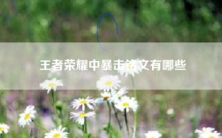 王者荣耀中暴击铭文有哪些