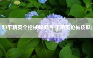 和平精英全枪械解析(和平精英枪械皮肤)