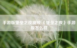 手游版堡垒之夜视频,《堡垒之夜》手游版怎么样