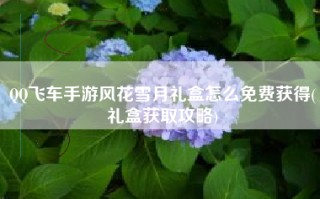 QQ飞车手游风花雪月礼盒怎么免费获得(礼盒获取攻略)