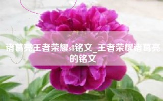 诸葛亮王者荣耀s8铭文_王者荣耀诸葛亮的铭文