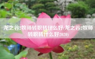 龙之谷2牧师转职转什么好(龙之谷2牧师转职转什么好2020)