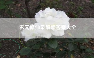 玄元修仙录解惑答案大全