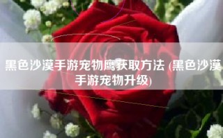黑色沙漠手游宠物鹰获取方法 (黑色沙漠手游宠物升级)