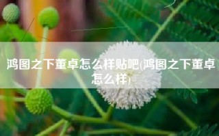 鸿图之下董卓怎么样贴吧(鸿图之下董卓怎么样)