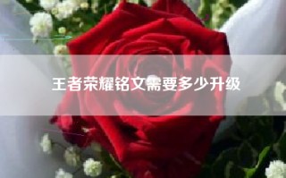 王者荣耀铭文需要多少升级