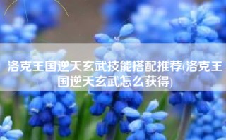 洛克王国逆天玄武技能搭配推荐(洛克王国逆天玄武怎么获得)