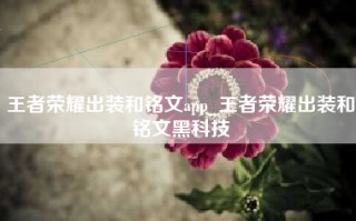 王者荣耀出装和铭文app_王者荣耀出装和铭文黑科技
