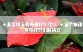 王者荣耀诸葛亮是什么铭文_王者荣耀诸葛亮打野出装铭文