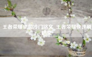王者荣耀里的冷门铭文_王者荣耀快速刷铭文