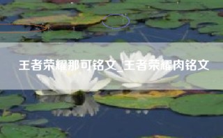 王者荣耀那可铭文_王者荣耀肉铭文