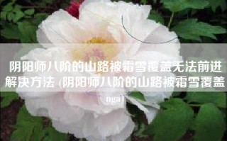 阴阳师八阶的山路被霜雪覆盖无法前进解决方法 (阴阳师八阶的山路被霜雪覆盖nga)