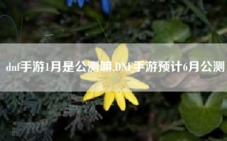 dnf手游1月是公测嘛,DNF手游预计6月公测