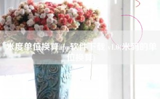 米度单位换算app软件下载 v1.0(米码的单位换算)
