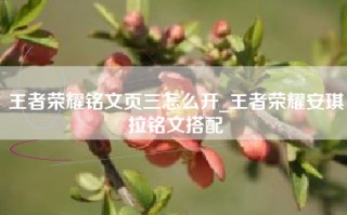 王者荣耀铭文页三怎么开_王者荣耀安琪拉铭文搭配