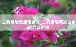 王者荣耀里后裔铭文_王者荣耀铭文自定义怎么更换