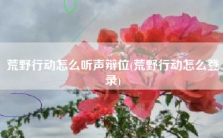 荒野行动怎么听声辩位(荒野行动怎么登录)