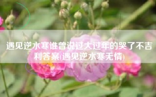 遇见逆水寒谁曾说过大过年的哭了不吉利答案(遇见逆水寒无情)