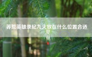 莽荒英雄录纪九火放在什么位置合适