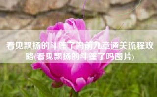 看见飘扬的斗篷了吗前九章通关流程攻略(看见飘扬的斗篷了吗图片)