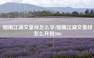 烟雨江湖文皇经怎么学(烟雨江湖文皇经怎么升到200)