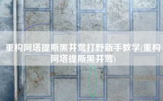 重构阿塔提斯黑井莺打野新手教学(重构阿塔提斯黑井莺)