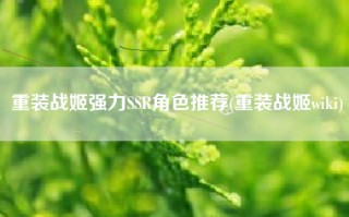 重装战姬强力SSR角色推荐(重装战姬wiki)