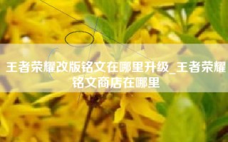 王者荣耀改版铭文在哪里升级_王者荣耀铭文商店在哪里