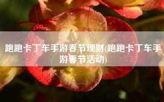 跑跑卡丁车手游春节理财(跑跑卡丁车手游春节活动)