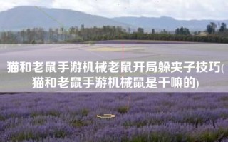 猫和老鼠手游机械老鼠开局躲夹子技巧(猫和老鼠手游机械鼠是干嘛的)