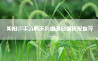 阴阳师手游鸦天狗御魂最强搭配推荐