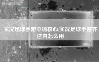 实况足球手游中场核心,实况足球手游齐达内怎么用