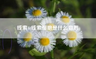 线索4(线索细胞是什么意思)