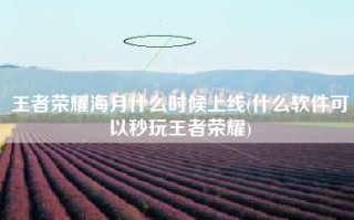 王者荣耀海月什么时候上线(什么软件可以秒玩王者荣耀)