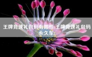 王牌竞速礼包码有哪些(王牌竞速礼包码永久车)