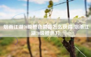 烟雨江湖70级橙色装备怎么获得(烟雨江湖70级橙色刀)