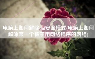 电脑上如何解除dnf安全模式(电脑上如何解除某一个被禁用网络程序的网络)