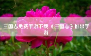三国志免费手游下载,《三国志》推出手游