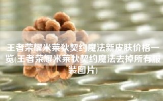 王者荣耀米莱狄契约魔法新皮肤价格一览(王者荣耀米莱狄契约魔法去掉所有服装图片)