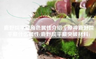 鹿野院平藏角色属性介绍（原神鹿野院平藏什么属性(鹿野院平藏突破材料)
