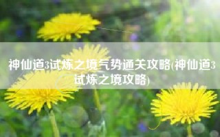 神仙道3试炼之境气势通关攻略(神仙道3试炼之境攻略)