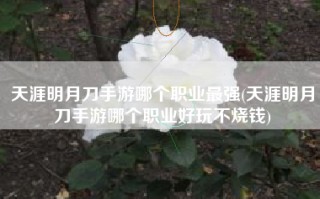 天涯明月刀手游哪个职业最强(天涯明月刀手游哪个职业好玩不烧钱)