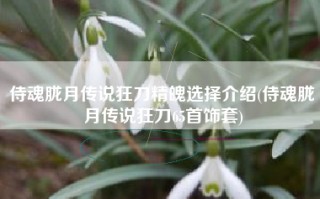 侍魂胧月传说狂刀精魄选择介绍(侍魂胧月传说狂刀65首饰套)