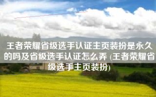 王者荣耀省级选手认证主页装扮是永久的吗及省级选手认证怎么弄 (王者荣耀省级选手主页装扮)
