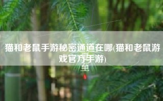 猫和老鼠手游秘密通道在哪(猫和老鼠游戏官方手游)